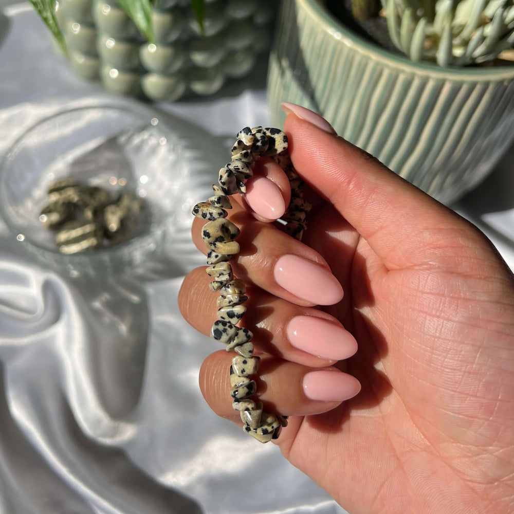 Dalmatian Jasper Bracelet - My Sacred Soul