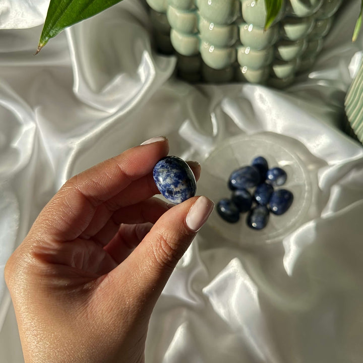 Sodalite Tumbled Stones - My Sacred Soul