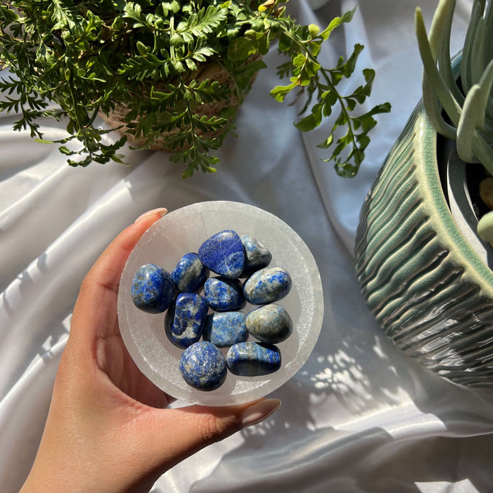 Lapis Lazuli Tumbled Stones - My Sacred Soul