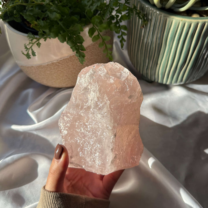 Rose Quartz Freeform - My Sacred Soul