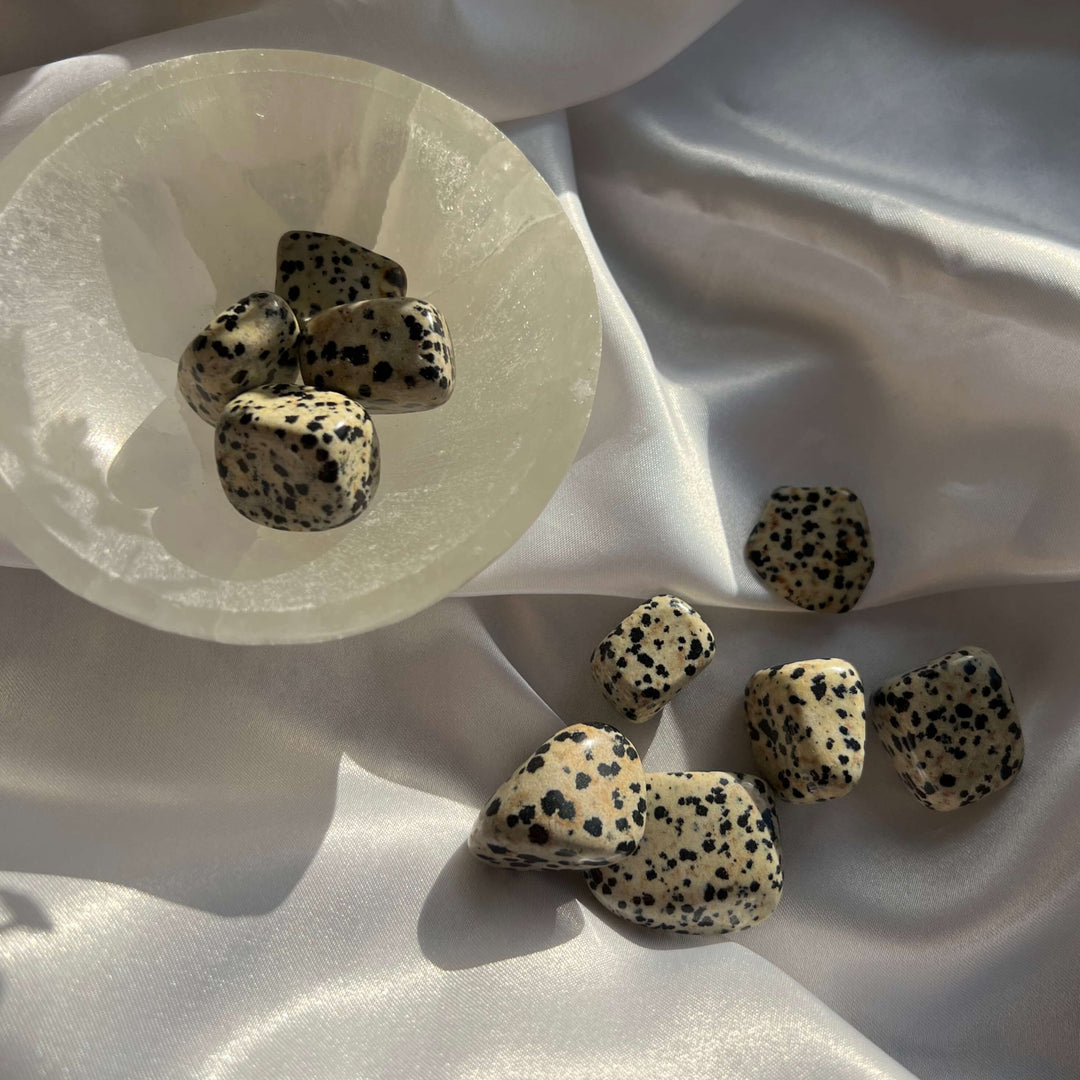 Dalmatian Jasper Tumbled Stones - My Sacred Soul