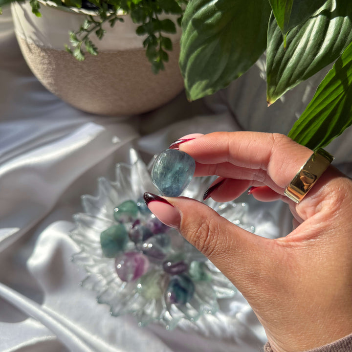 Rainbow Fluorite Tumbled Stones - My Sacred Soul