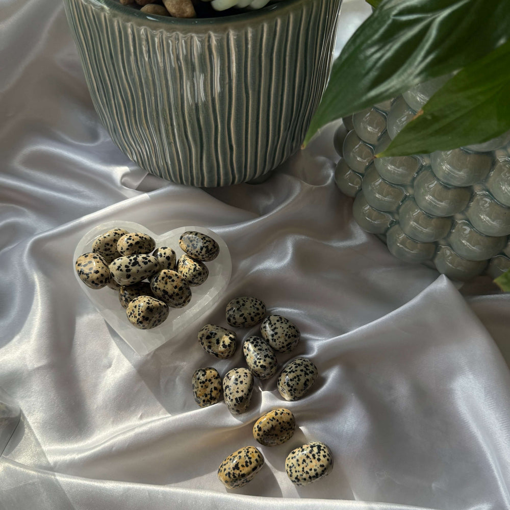 Dalmatian Jasper Tumbled Stones - My Sacred Soul