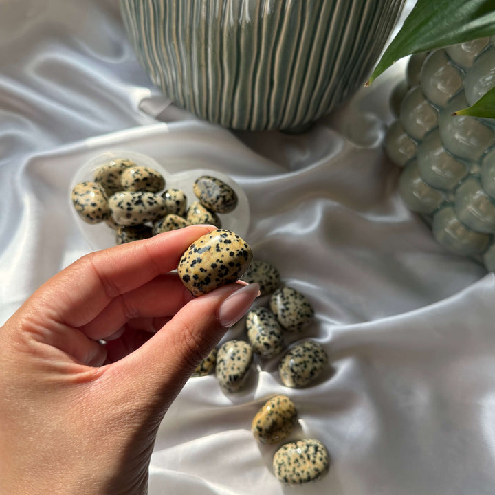 Dalmatian Jasper Tumbled Stones - My Sacred Soul