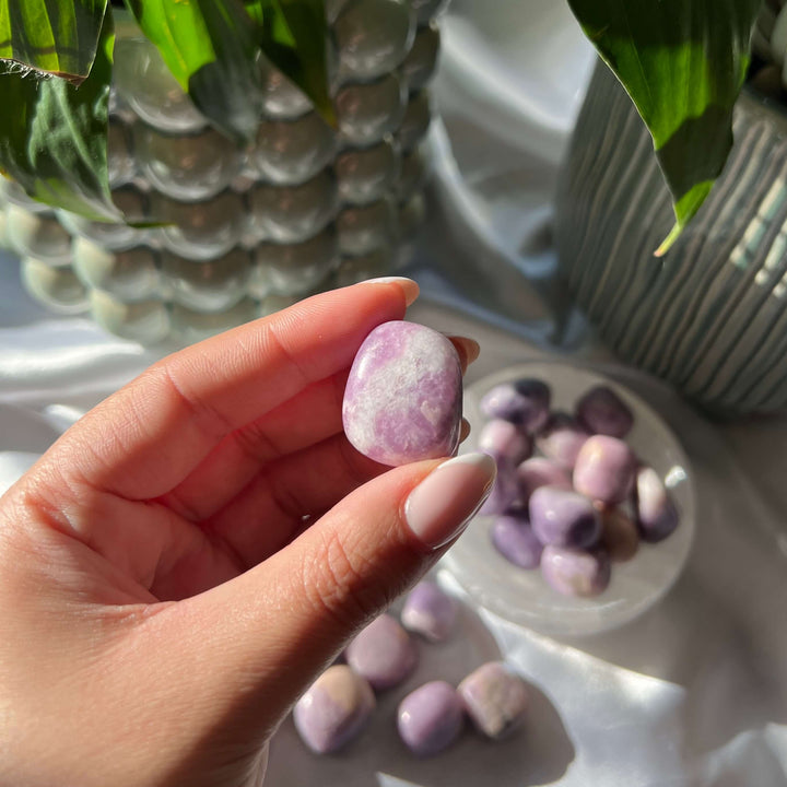 Lepidolite Tumbled Stones - My Sacred Soul