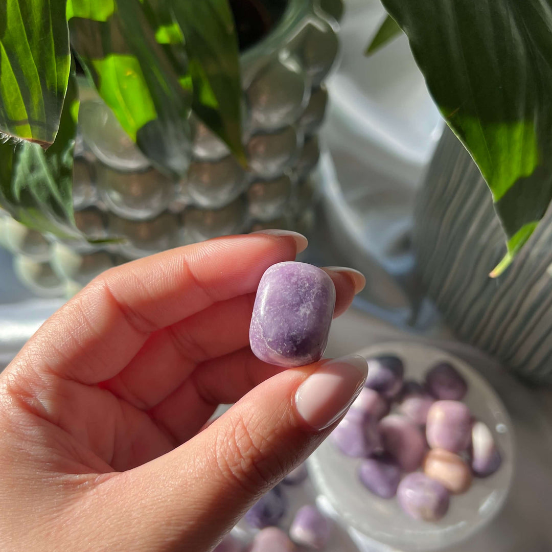 Lepidolite Tumbled Stones - My Sacred Soul