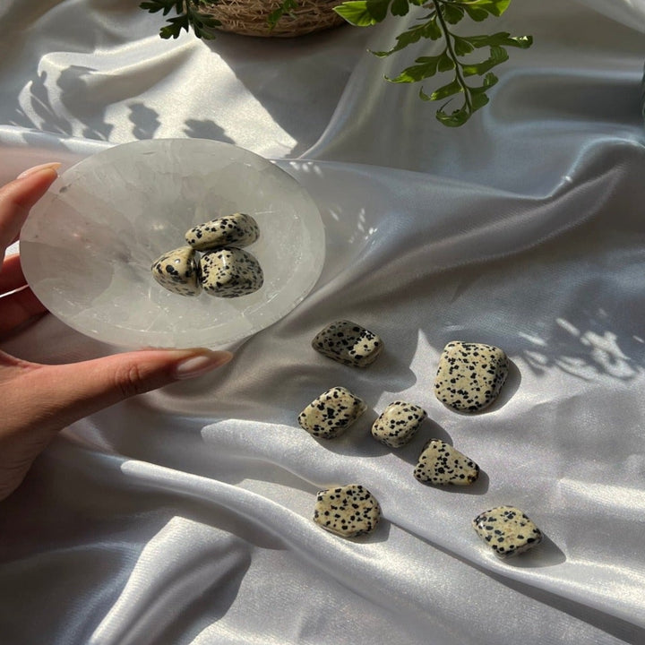 Dalmatian Jasper Tumbled Stones - My Sacred Soul