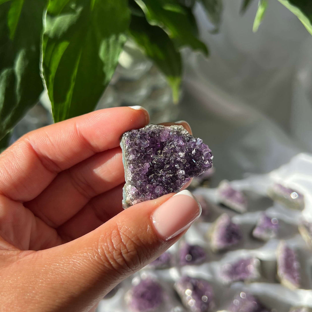 Amethyst Mini Clusters - My Sacred Soul