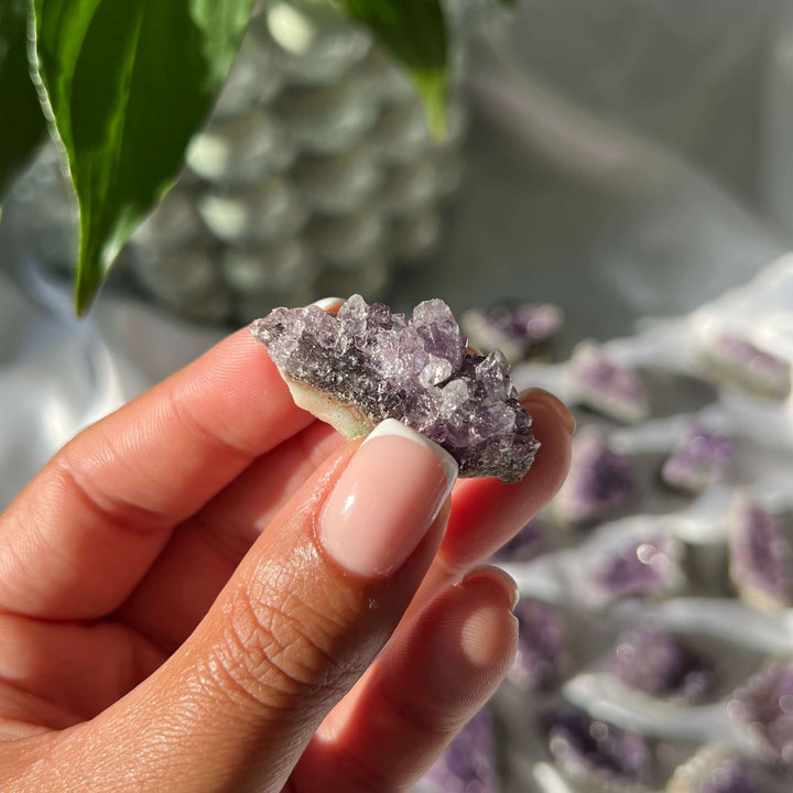 Amethyst Mini Clusters - My Sacred Soul