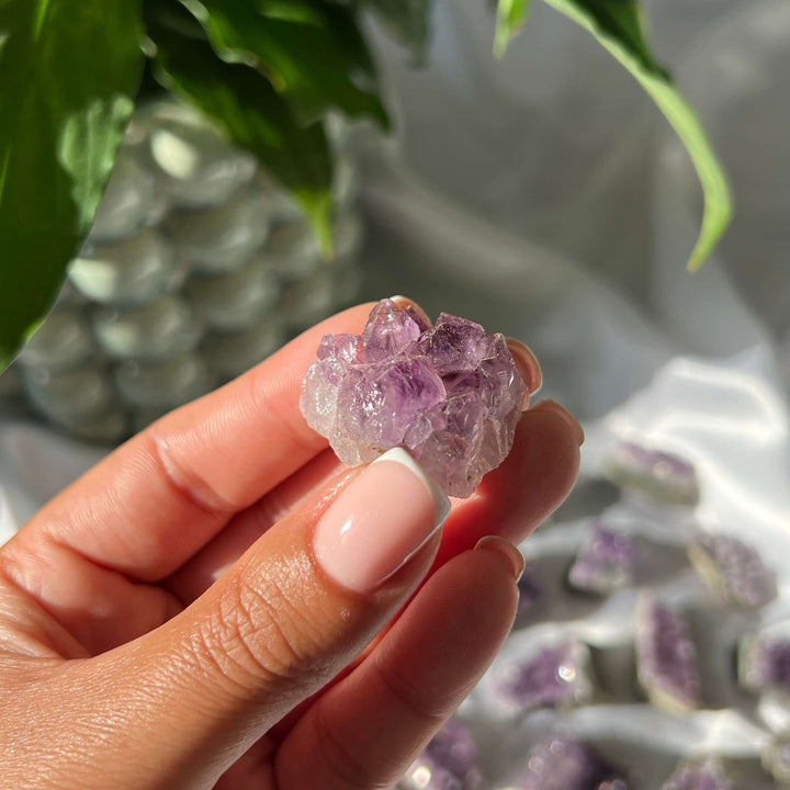 Amethyst Mini Clusters - My Sacred Soul