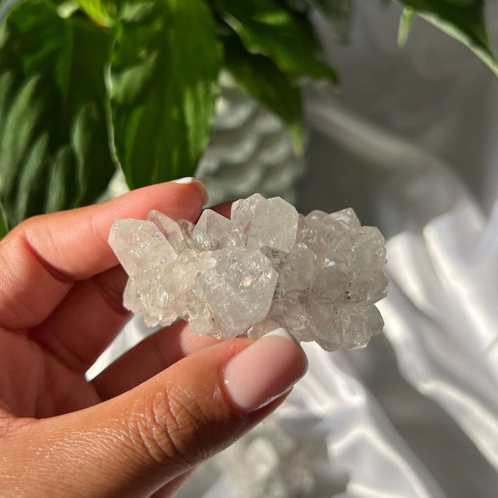 Clear Quartz Clusters - My Sacred Soul